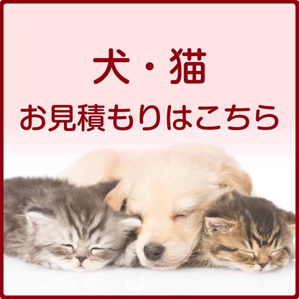 犬猫プランお見積り