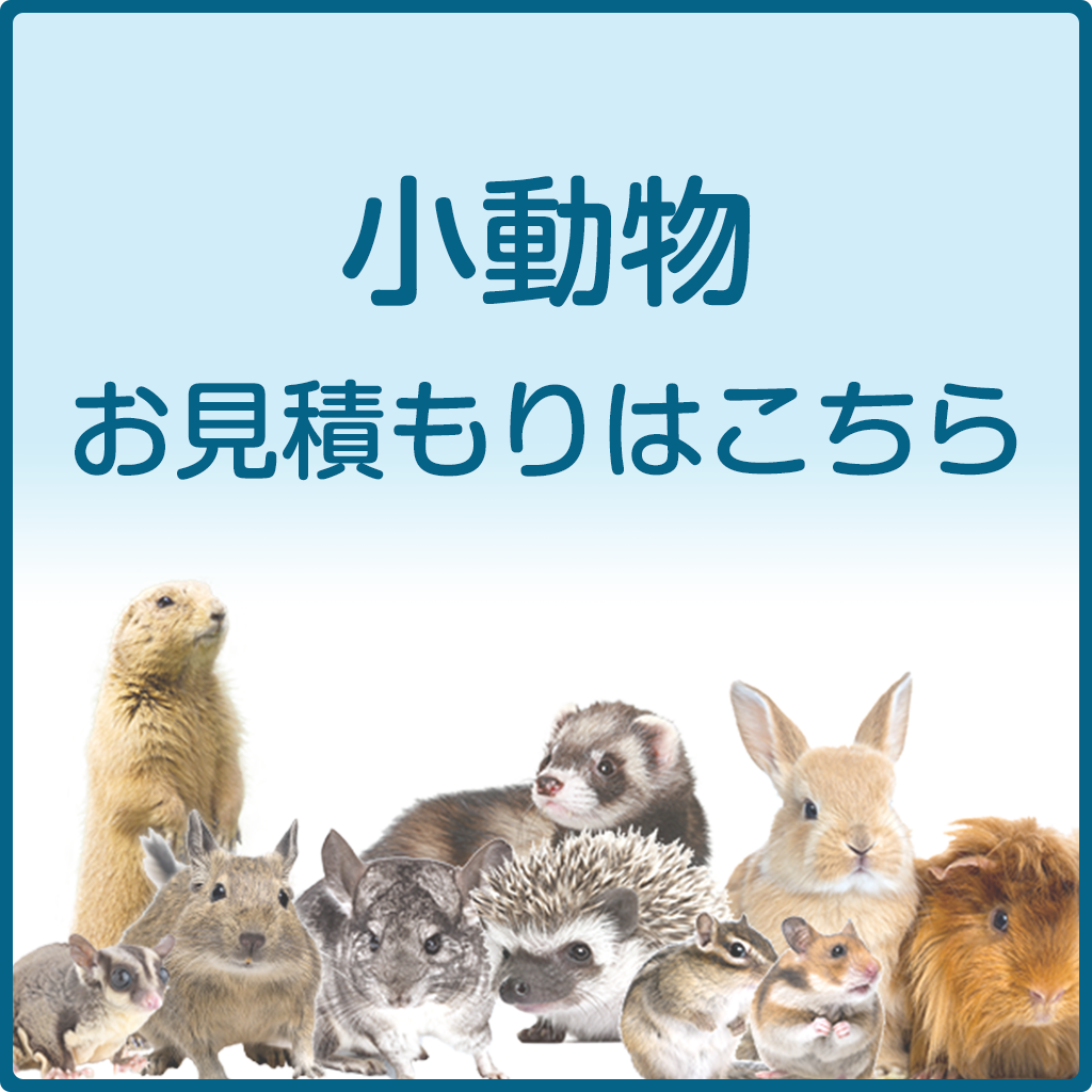 小動物プランお見積り