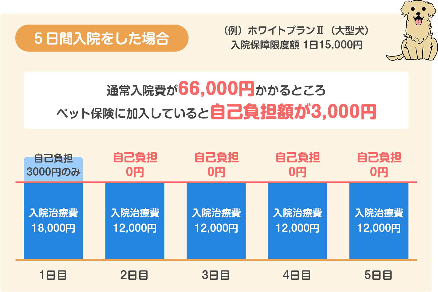 5日間入院をした場合の保険料（ホワイトプラン）