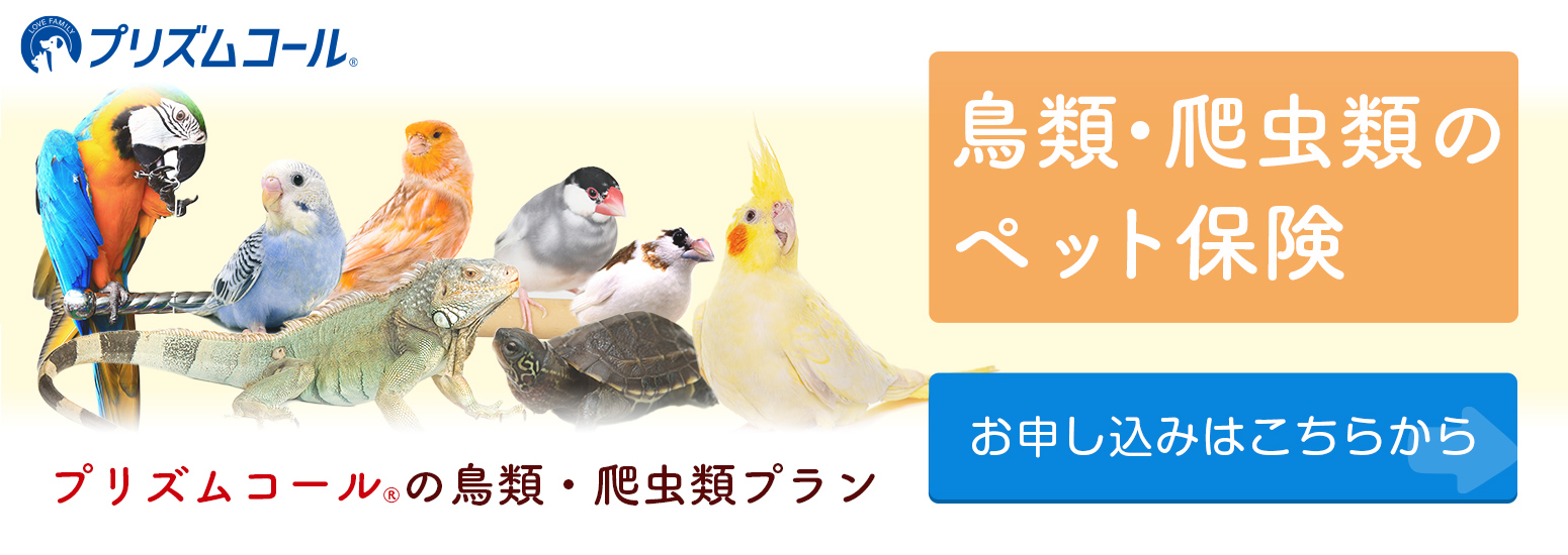 ペット保険 プリズムコール鳥類・爬虫類