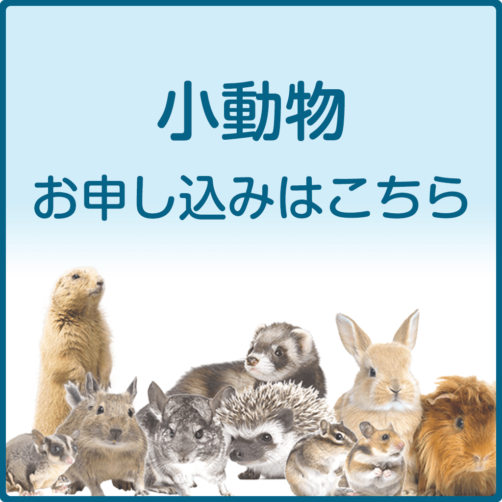 小動物プランお申込み